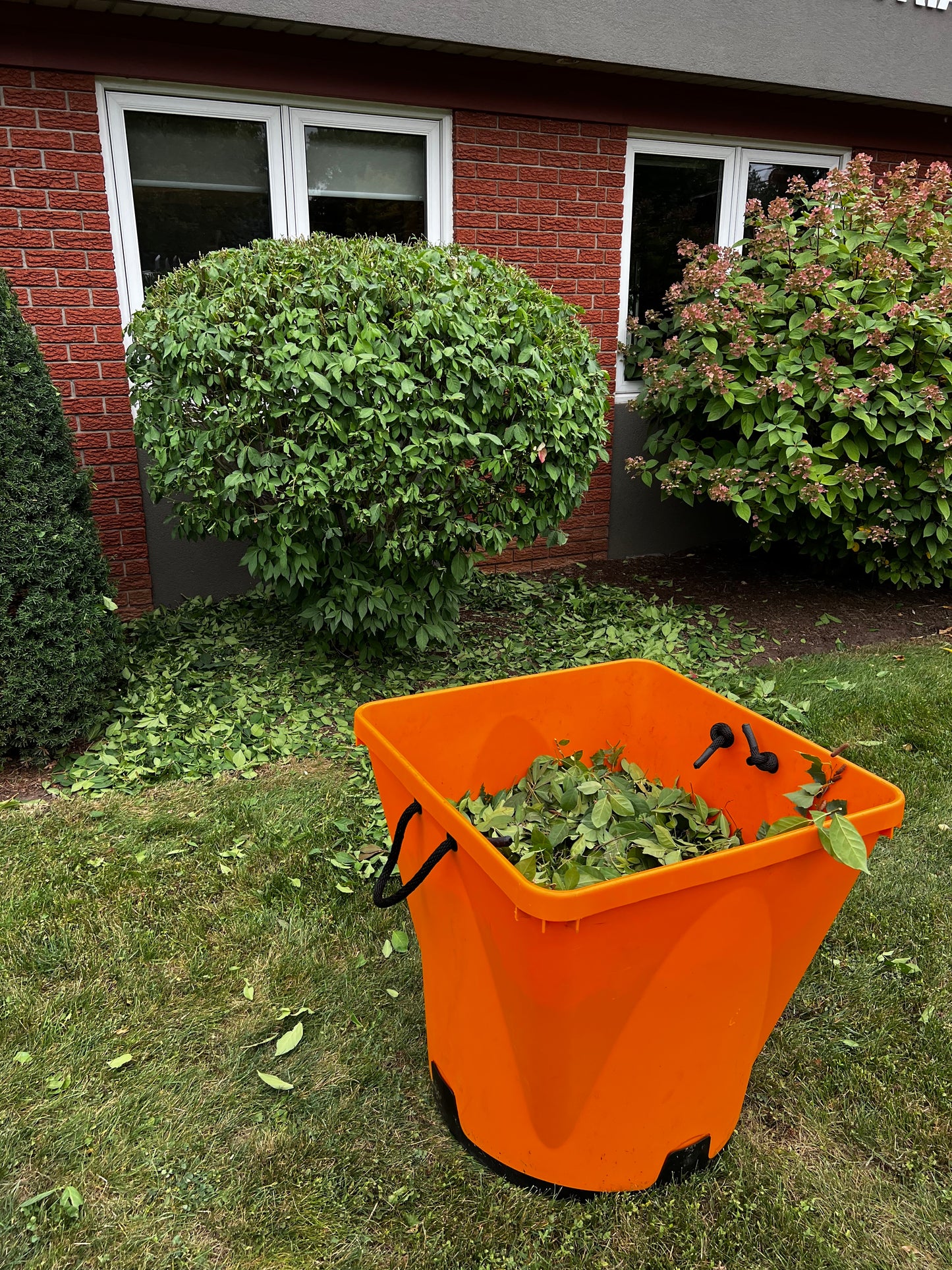 The Square Barrel | Landscape Construction Debris Barrel